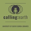 Calling: Earth. artwork
