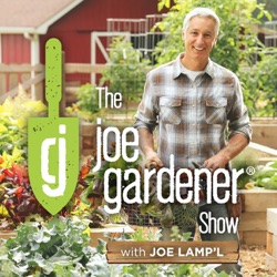 361-Online Gardening Academy™ Students Share Their ‘Aha’ Moments and Lessons Learned