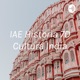 IAE Historia 7D Cultura India