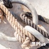 ERF Plus - Beim Wort genommen