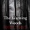 The Warning Woods | Horror and Scary Stories