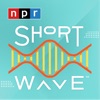 Short Wave artwork