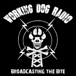 Episode 204: The Underdogs: Conquering Life with Man’s Best Friend and SEAL Team —–⁣