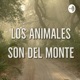 Los Animales Son Del Monte