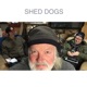 Shed Dogs