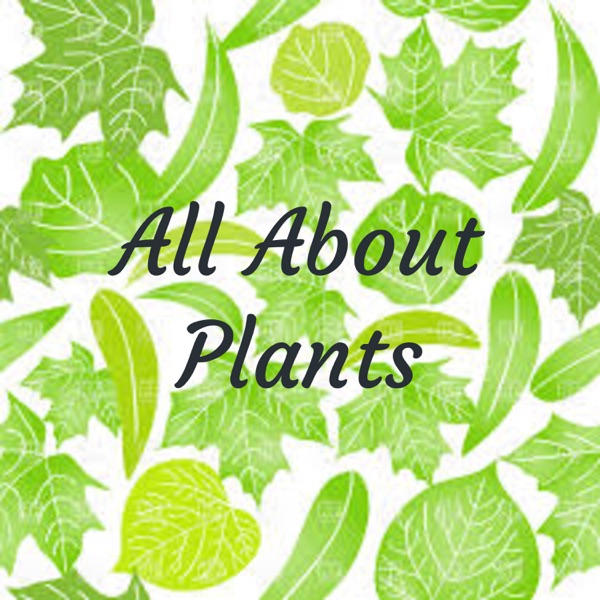 All About Plants