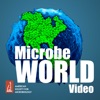 MicrobeWorld Video artwork