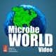 MicrobeWorld Video