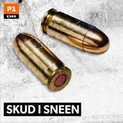 Skud i sneen