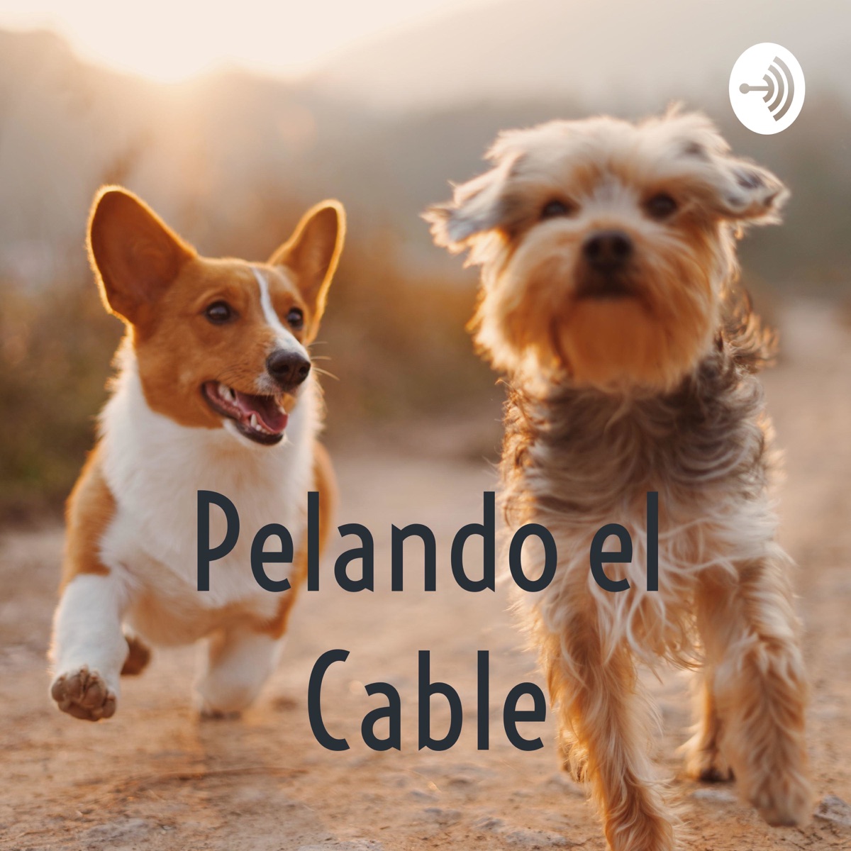 Pelando el Cable - TV Podcast