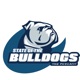 State of the Bulldogs