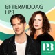 Anna Hedenmo i vardagsfilosofiska rummet och 