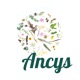 Ancys