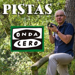 Diez viajes virtuales por Castilla y León * Guía de viaje (27/3/2020)
