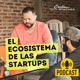 El Ecosistema Startup