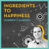 Ingredients to Happiness with Andrew Cameron artwork