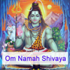 Om Namah Shivaya - Mantra Chanting and Kirtan - Sukadev Bretz - Joy and Inspiration through Mantra Chanting