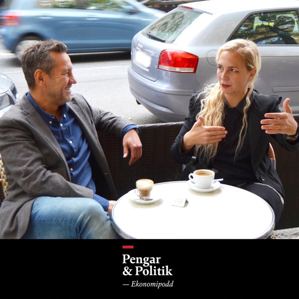 Pengar och Politik