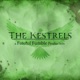 The Kestrels - A Dragon Age podcast