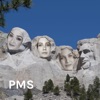 PMS: Politically Motivated Spiels artwork