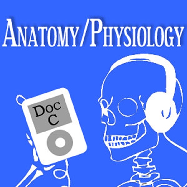 Artwork for MOOC Podcast: Intro to Anatomy and Physiology with Doc C