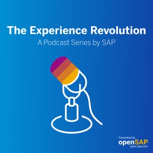 The Experience Revolution