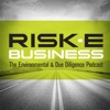 RISK-E-Business Podcast artwork