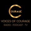 Voices Of Courage artwork
