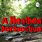 A Heathen Perspective