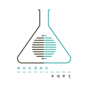 WonderLabs with Chris Richardson