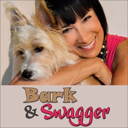 Bark And Swagger - Pet Fashion - Pet Life Radio  Original (PetLifeRadio.com)