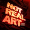 Not Real Art artwork