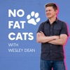 No Fat Cats - A Podcast for Creative Teams artwork