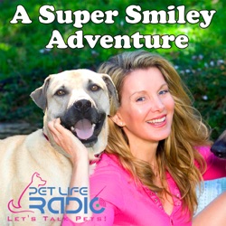 A Super Smiley Adventure - Episode 108 African Elephants and a Dog Save the Day!  With Pet Lovin’ Star, Jeri Ryan, in Against the Wild 2: Survive the Serengeti