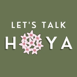 Episode 28: Let's Talk with Ves Hackney about Hoya lacunosa & Hoya krohniana