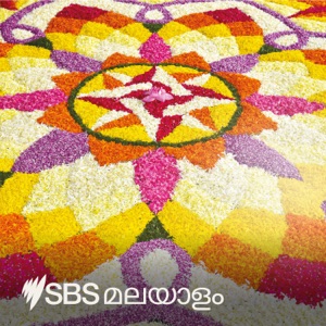 SBS Malayalam Today's News: October 18, 2019 - വിരമിച്ച പന്തയക്കുതിരകളെ കൂട്ടത്തോടെ കൊന്നൊടുക്കുന്നു; സർക്കാർ അന്വേഷണം പ്രഖ്യാപിച്ചു