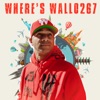 WHERE’S WALLO267 artwork