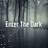 Enter The Dark artwork