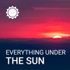 Everything Under the Sun artwork