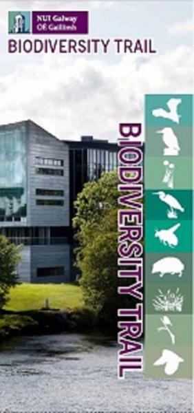 NUI Galway Biodiversity Trail