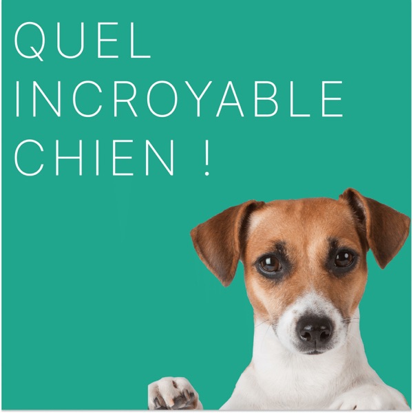épisode 0 - Bienvenue sur Quel Incroyable Chien !