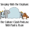 Sleeping With The Elephant artwork