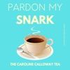 Pardon My Snark artwork