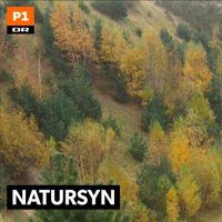 Natursyn podcast