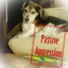 Passive Aggression artwork