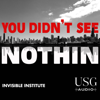 You Didn't See Nothin - USG Audio
