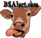 BSAlert.com - The Critical Thinker's Community & News Network PODCAST SHOW