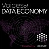 Voices of the Data Economy artwork
