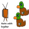 Ducks Watch Together artwork