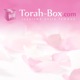 Podcast Torah-Box.com